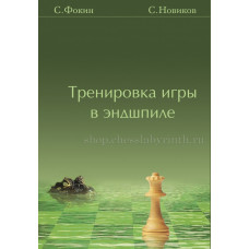 Фокин С. Новиков С. Тренировка игры в эндшпиле. в Уфа
